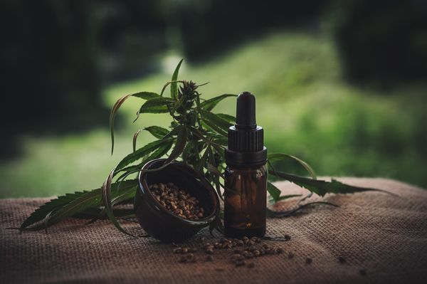 Oczaruj się skutecznością produktów CBD - Twoja codzienna dawka odprężenia