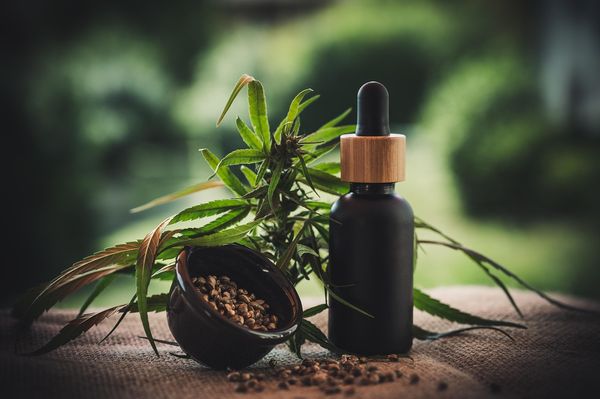 Jak działają produkty konopne z terpenami na nasze ciało i umysł?